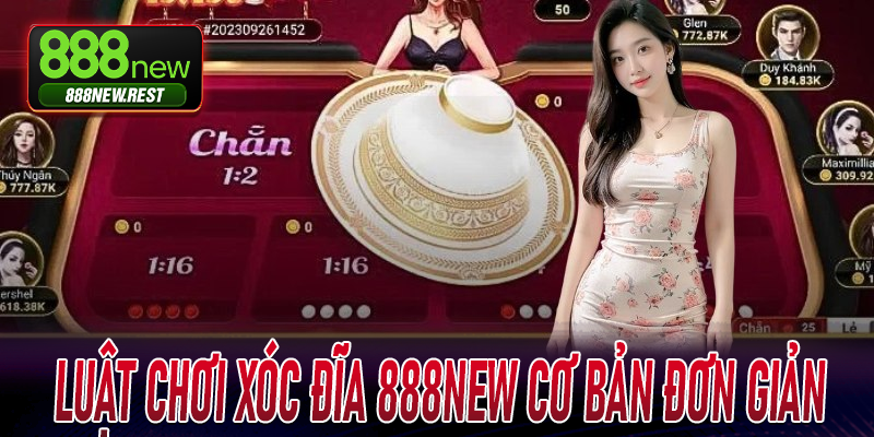 Luật chơi Xóc Đĩa 888new cơ bản – đơn giản, dễ hiểu, dễ thắng